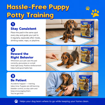 Sunypet Puppy Pads Disposable Dog Potty Training Pads, Quick Dry, Ultra Absorbent, L 23"x23", 200ct