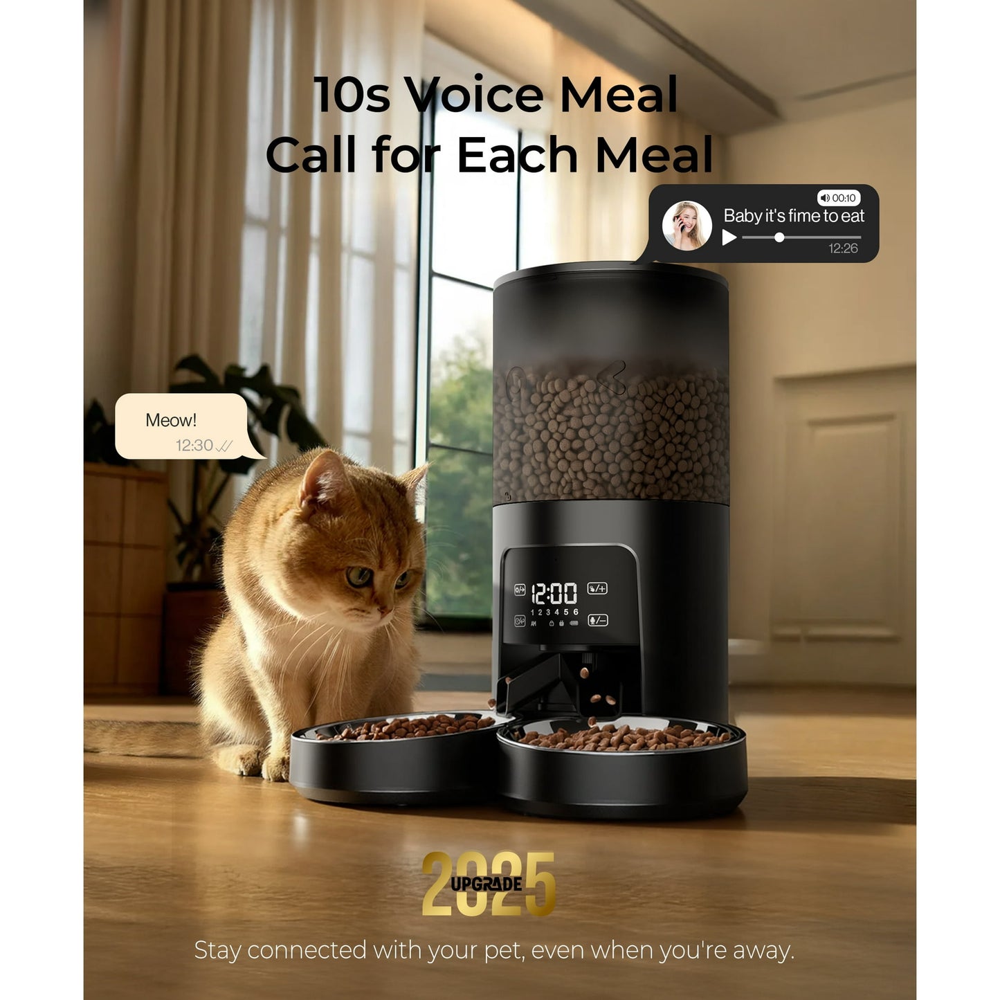 Tolobeve Automatic Cat Feeder for 2 Cats, 2-Way Splitter Timed Cat Dry Food Dispenser with 2 Bowls