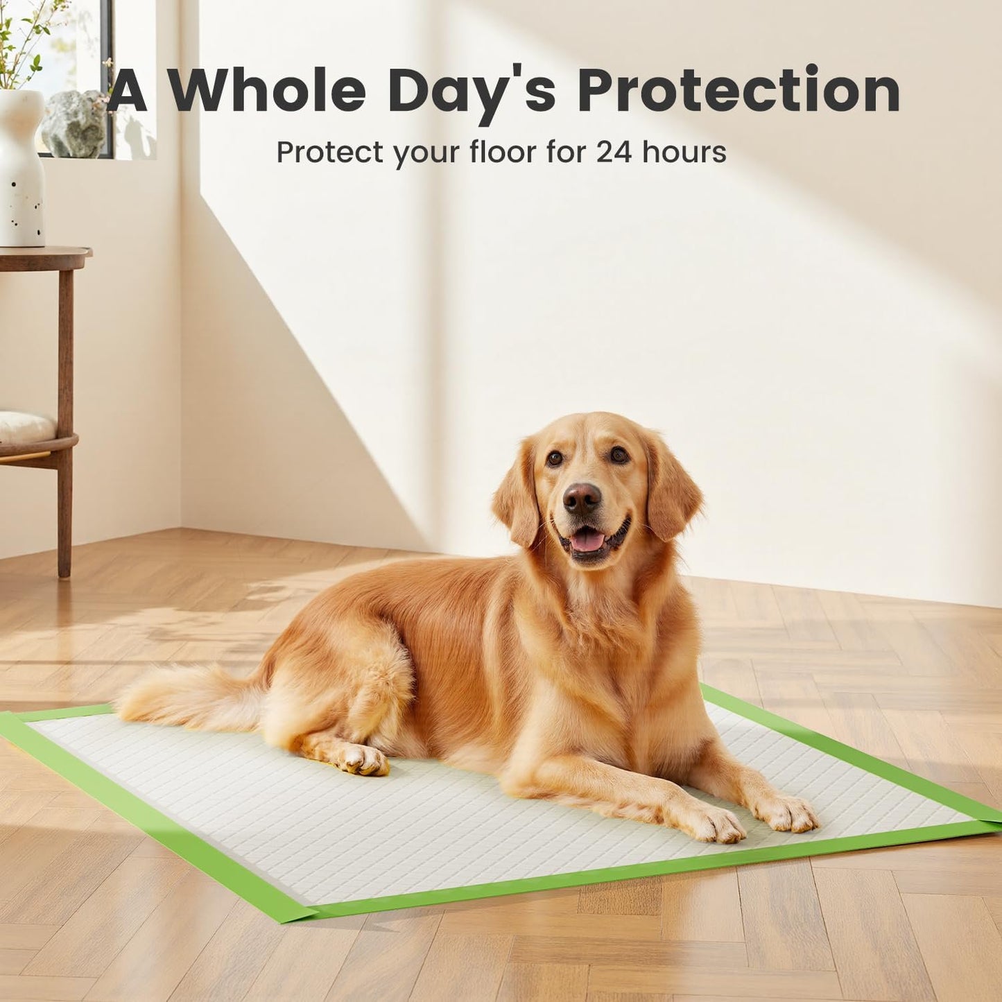 WEENEED 50-Count Heavy Duty Pet Training Pads, Super Absorbent Leak-Proof Pee Pads for Dogs and Puppies, XX-Large 22x22 Inches