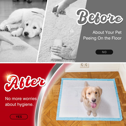 Dog Training Pads, XXL 60 Count Disposable Dog Pads