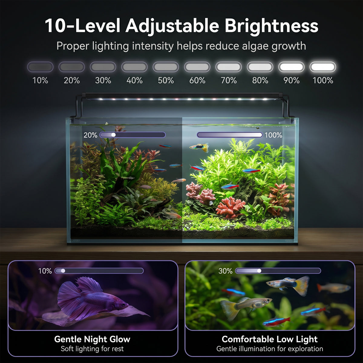 Feeray 10-Level Dimmable LED Aquarium Light with Auto Timer for Fish Tanks & Planted Aquariums