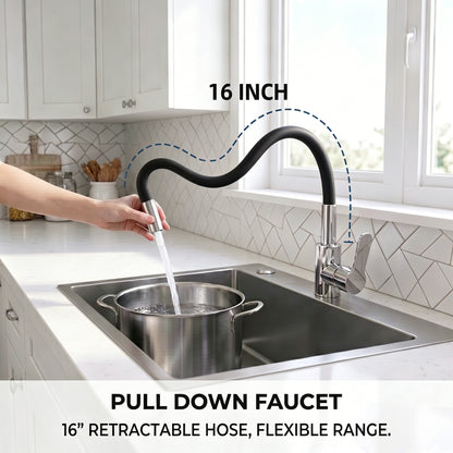 LZSDS Kitchen Faucet with Sprayer for RV, 360 Rotating Brass, Black