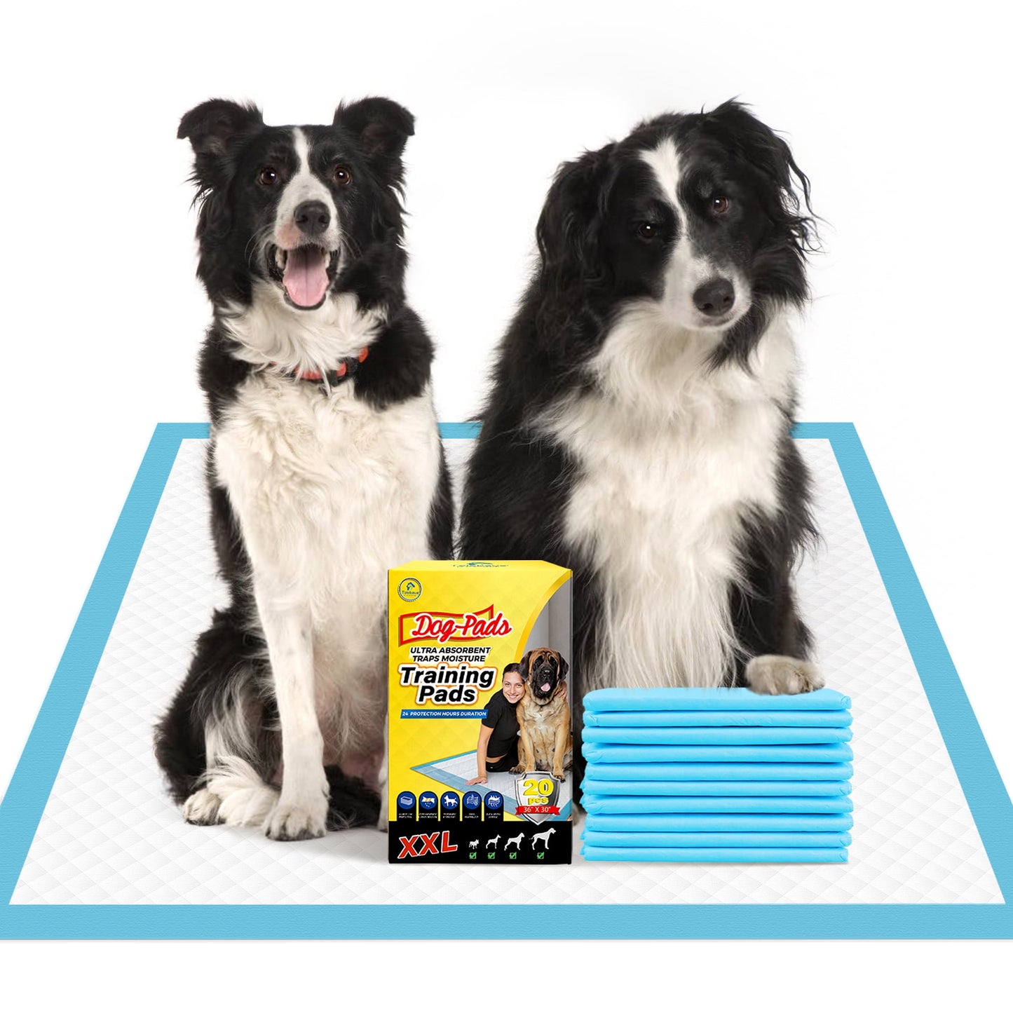 Tolobeve Dog Training Pads, XXL, 30 in x 36 in, 20 Count Disposable Dog Puppy Pee Pads
