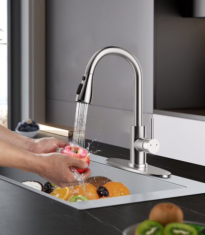 Hodvit Kitchen Faucet with Pull Down Sprayer, Stainless Steel Kitchen Sink Faucet with Deck Plate to Cover