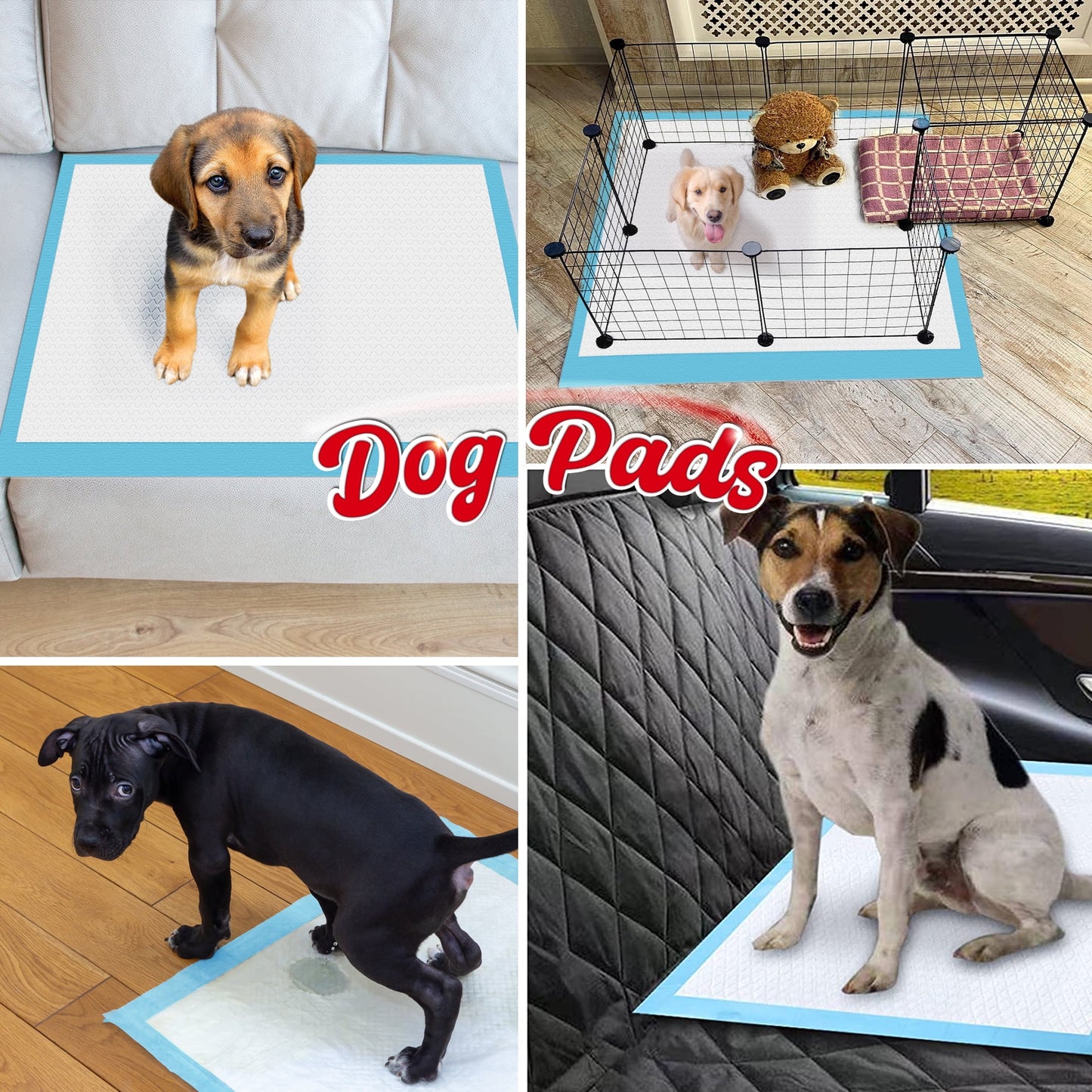 Dog Training Pads, XXL 60 Count Disposable Dog Pads