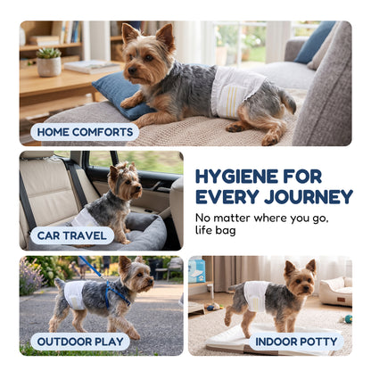 Tolobeve Disposable Male Dog Wraps with Stretchy Waistband, Small, 50 Count – Leak-Resistant & Absorbent for Training, Travel, Excitable Urination