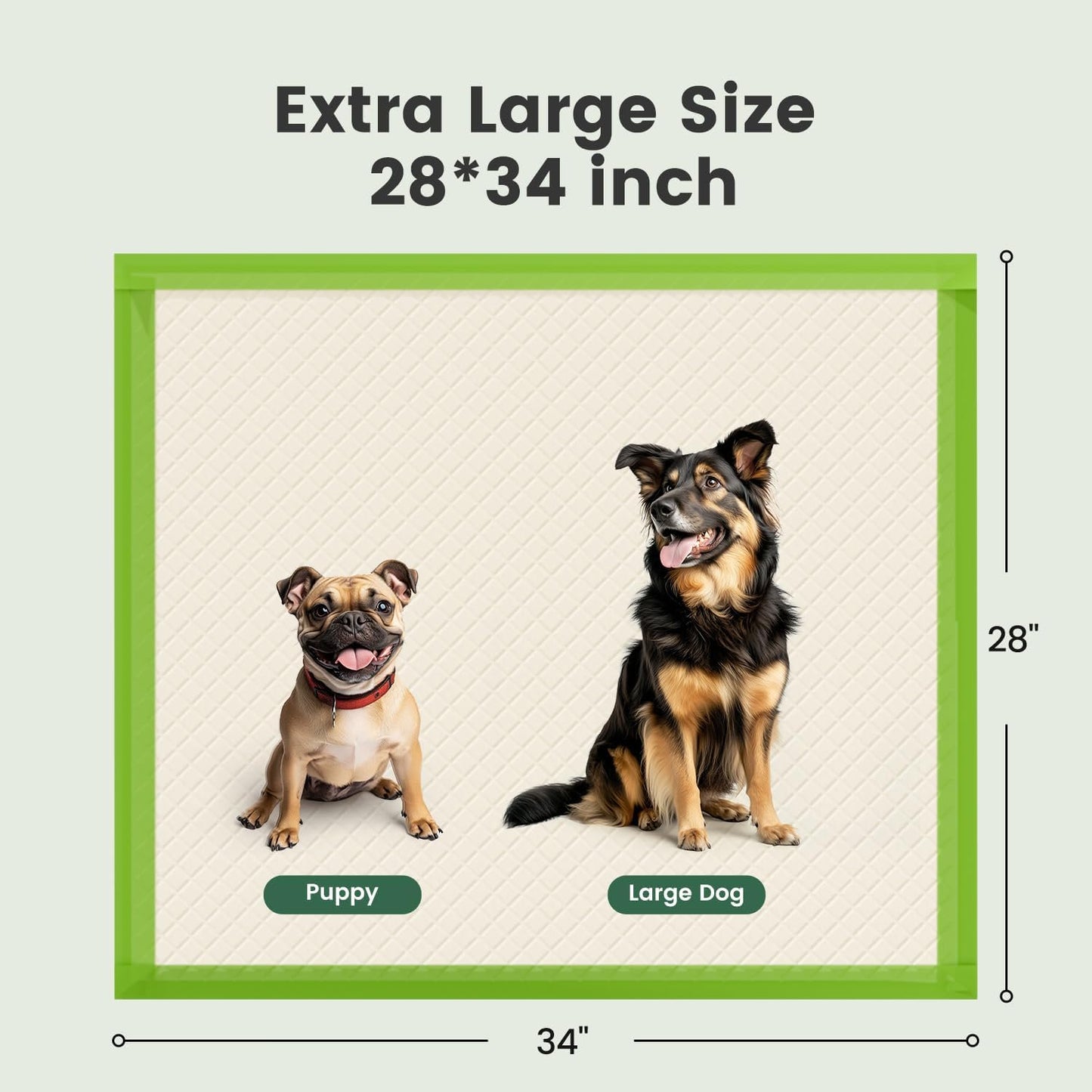 WEENEED 50-Count Heavy Duty Pet Training Pads, Super Absorbent Leak-Proof Pee Pads for Dogs and Puppies, XX-Large 22x22 Inches
