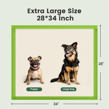 WEENEED 50-Count Heavy Duty Pet Training Pads, Super Absorbent Leak-Proof Pee Pads for Dogs and Puppies, XX-Large 22x22 Inches