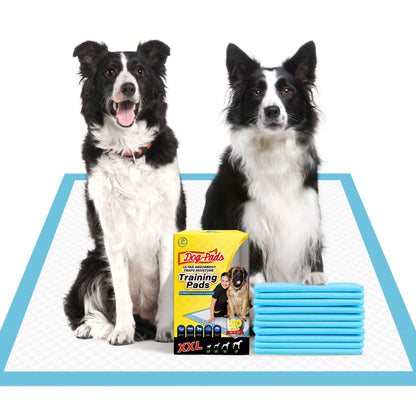 Tolobeve Dog Training Pads, XXL, 30 in x 36 in, 20 Count Disposable Dog Puppy Pee Pads