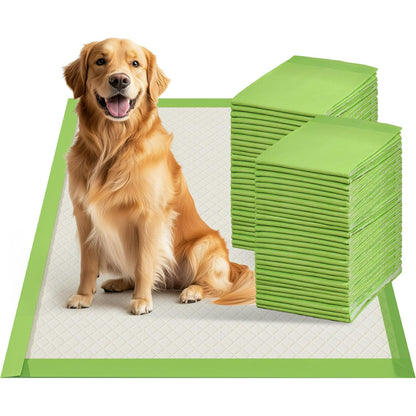 WEENEED 50-Count Heavy Duty Pet Training Pads, Super Absorbent Leak-Proof Pee Pads for Dogs and Puppies, XX-Large 22x22 Inches