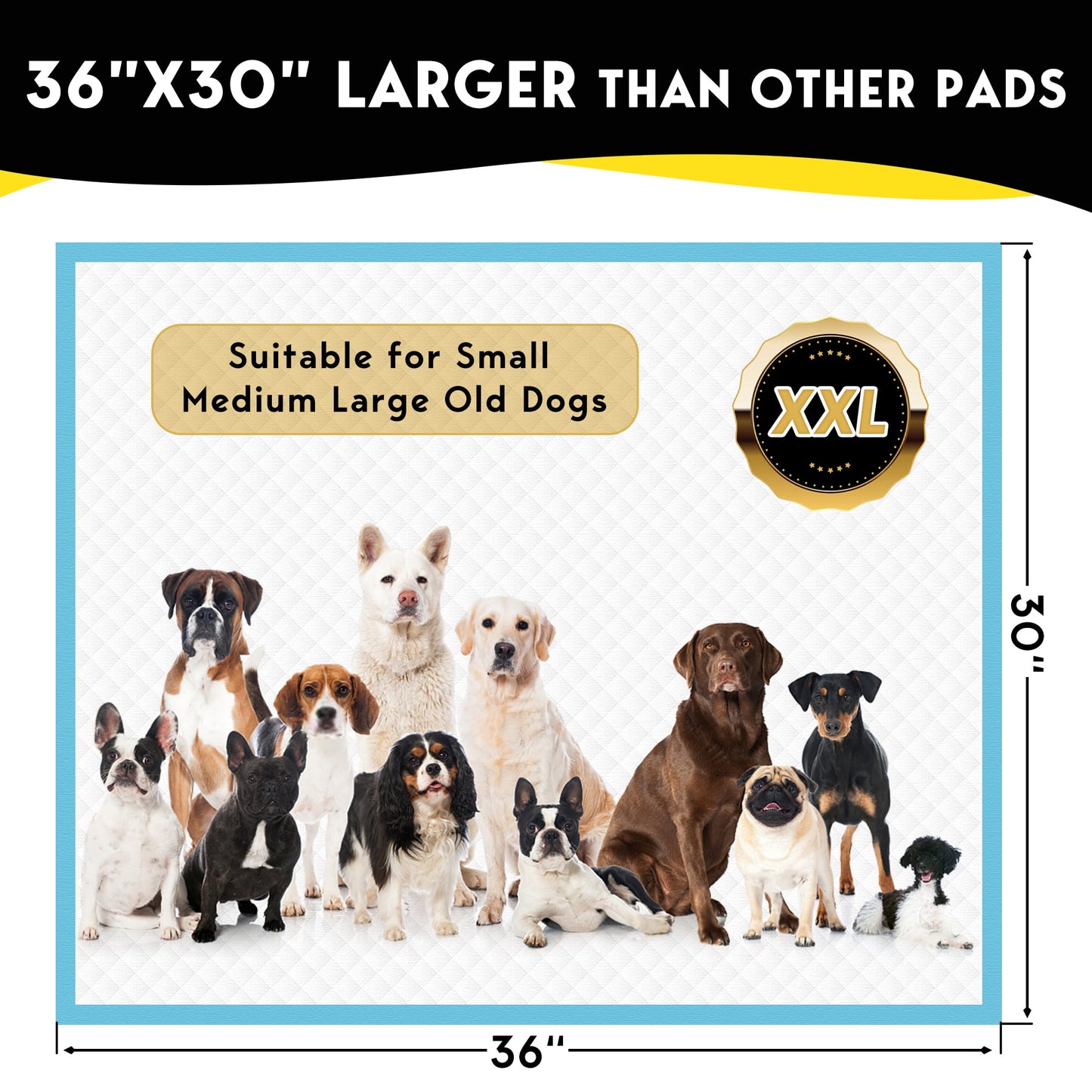 Tolobeve Dog Training Pads, XXL, 30 in x 36 in, 60 Count Disposable Dog Puppy Pee Pads