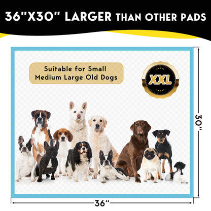Tolobeve Dog Training Pads, XXL, 30 in x 36 in, 60 Count Disposable Dog Puppy Pee Pads