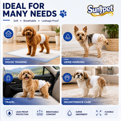Sunypet Disposable Male Dog Wraps with Stretchy Waistband, Small, 100 Count – Leak-Resistant & Absorbent for Training, Travel, Excitable Urination
