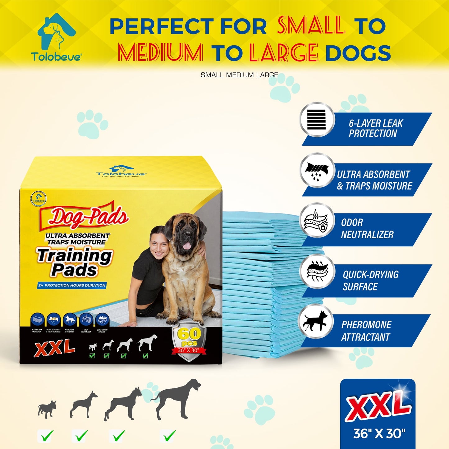 Tolobeve Dog Training Pads, XXL, 30 in x 36 in, 60 Count Disposable Dog Puppy Pee Pads