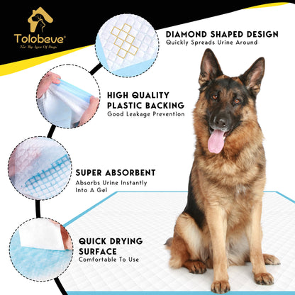 Tolobeve Dog Training Pads, XXL, 30 in x 36 in, 20 Count Disposable Dog Puppy Pee Pads