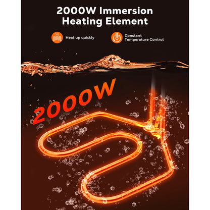 Casualife Deep Fryer with Dual Baskets, 6QT Electric Fryer with Adjustable Temp & Timer, Nonstick Tank for Chicken & Fries