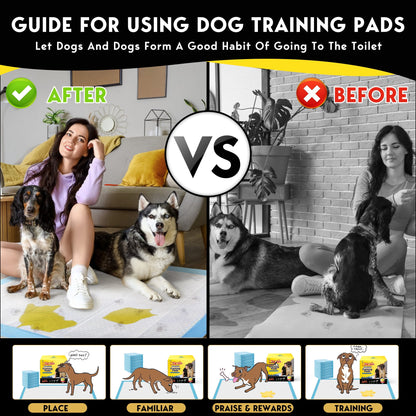 Tolobeve Dog Training Pads, XXL, 30 in x 36 in, 60 Count Disposable Dog Puppy Pee Pads