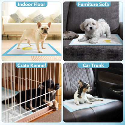 Tolobeve Puppy Absorbent Leak-Proof Training Pads, Small, 13x18 in, 300 Count